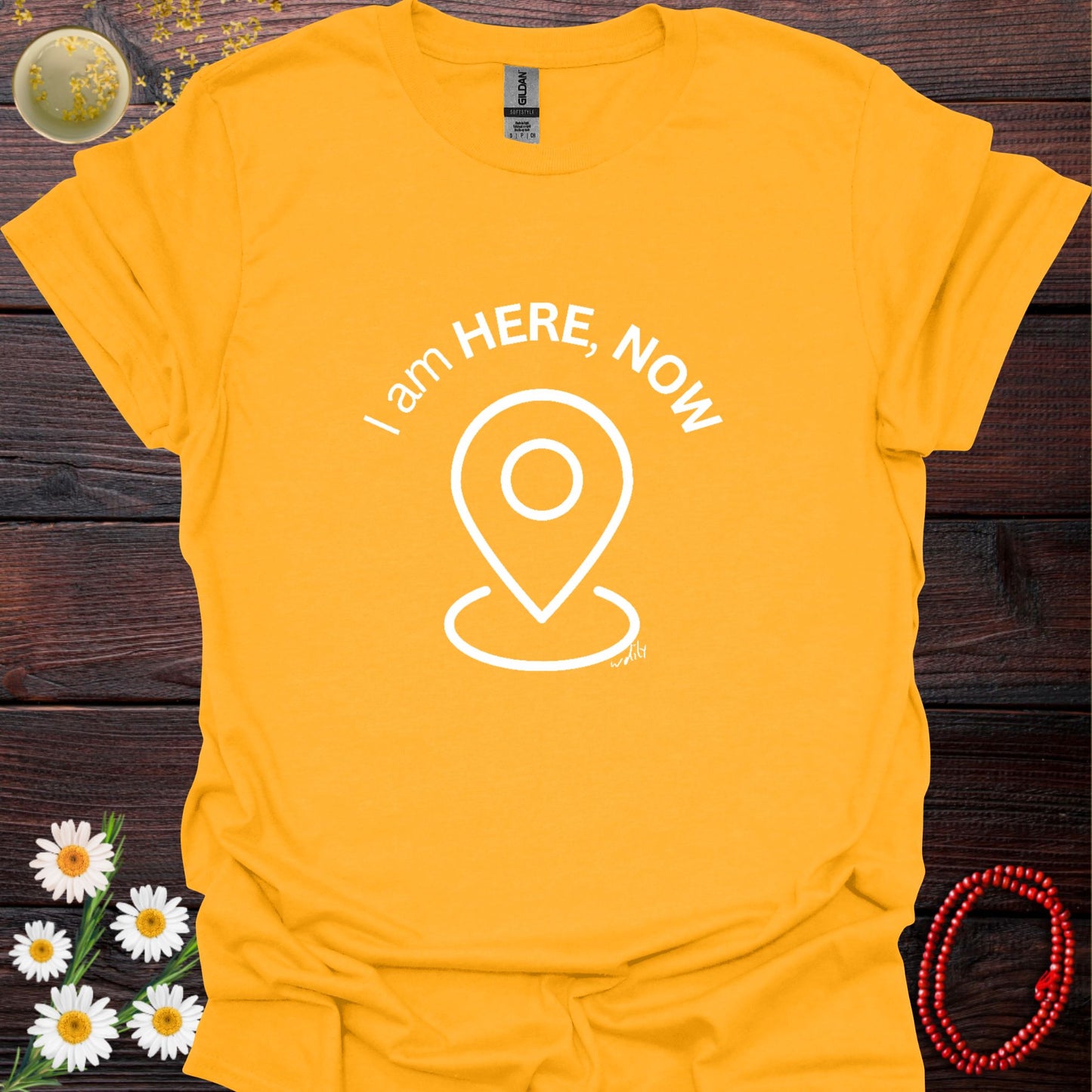 WDILY-I am Here, Now