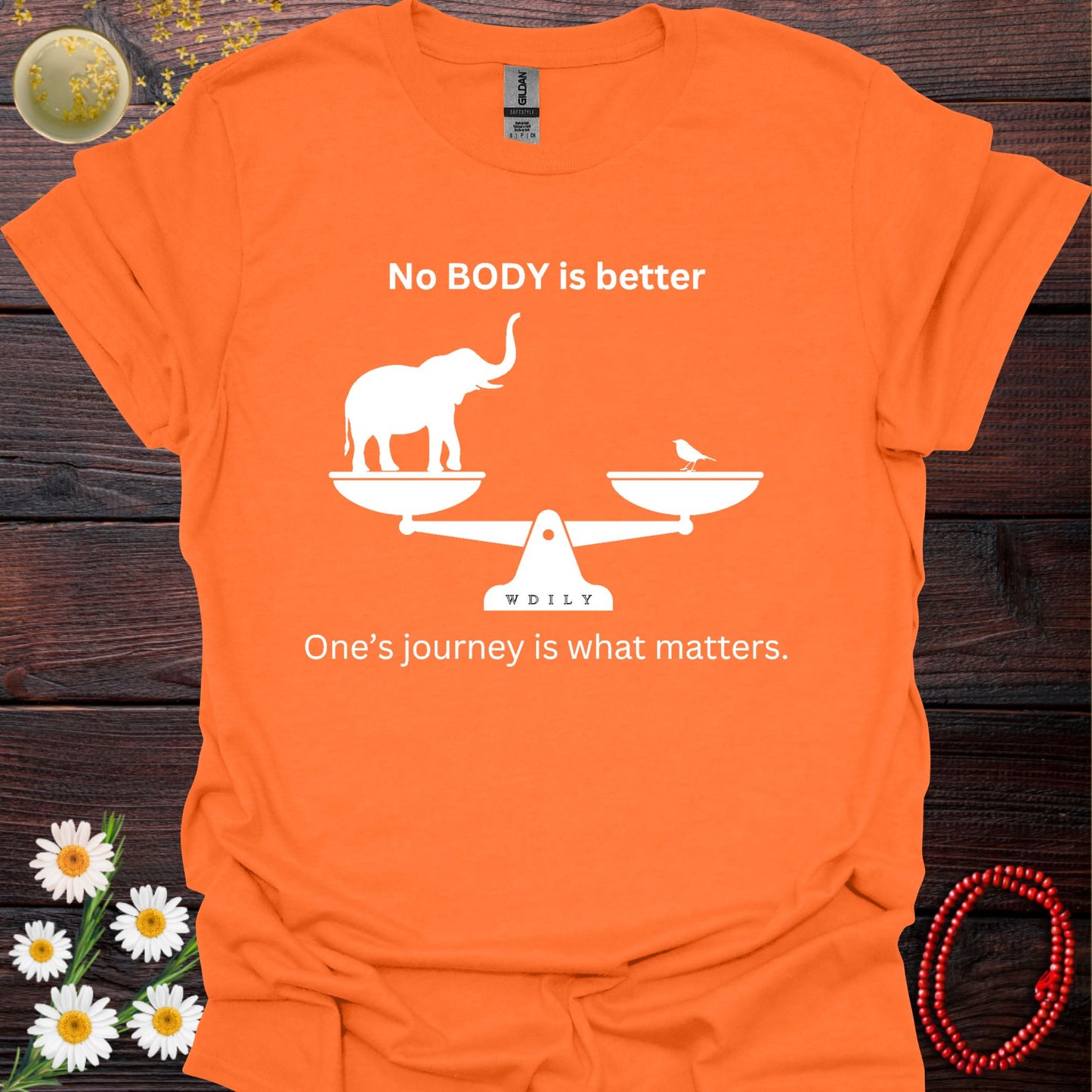 WDILY-No BODY is Better