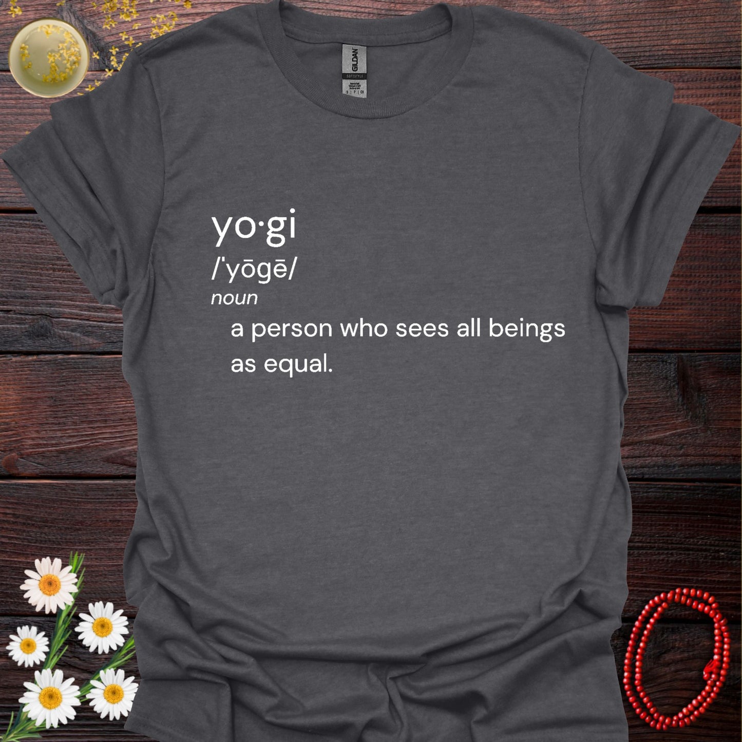 Yogi Definition