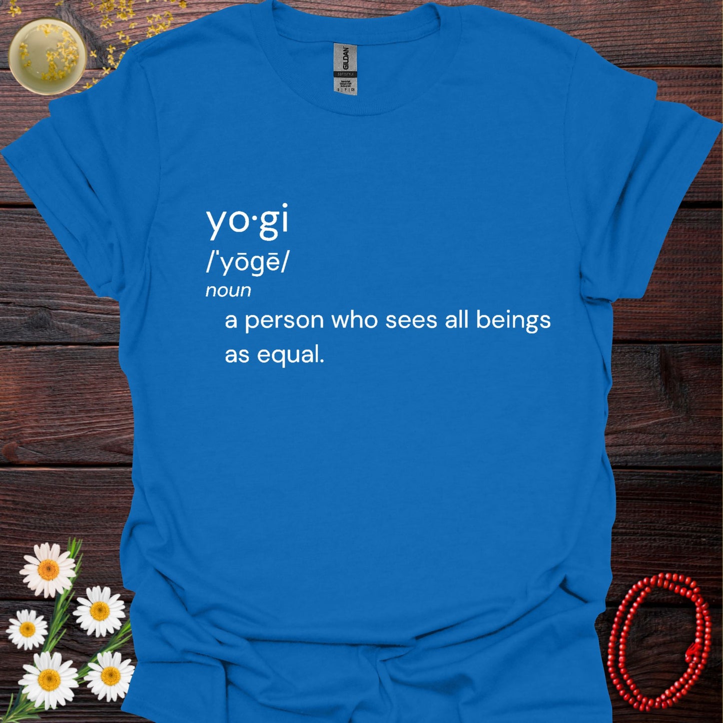 Yogi Definition